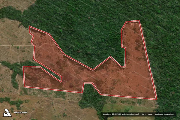 Imagem de satélite de Infração da Flora em Apiacás - MT
