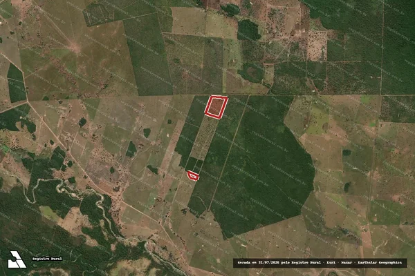 Imagem de satélite — Embargo IBAMA — Infração da Flora — Aruanã/GO