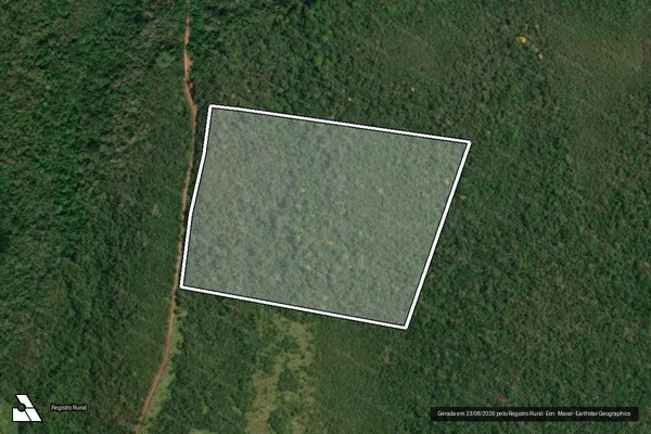 Imagem de satélite de Infração da Flora em Alenquer - PA