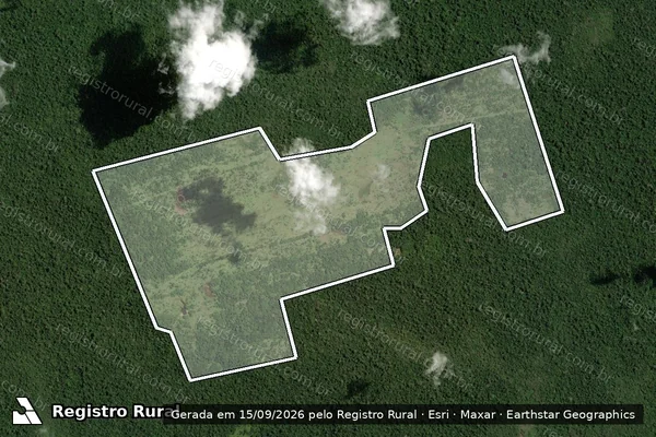 Imagem de satélite — Embargo IBAMA — Infração Ambiental - Altamira/PA