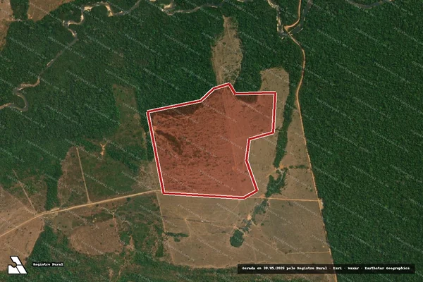Imagem de satélite — Embargo IBAMA — Infração da Flora - Nova Monte Verde/MT