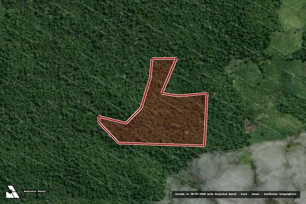 Imagem de satélite de Infração da Flora em Pacajá - PA