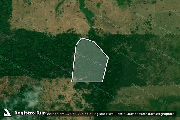 Imagem de satélite de Desmatamento em Pacajá - PA