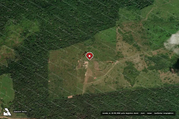 Imagem de satélite de Infração Ambiental em Altamira - PA (marcador da localização)