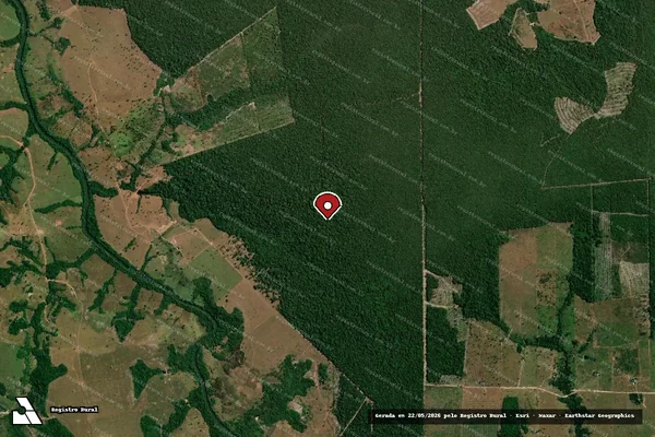 Imagem de satélite — Embargo IBAMA — Infração da Flora — Corumbiara/RO