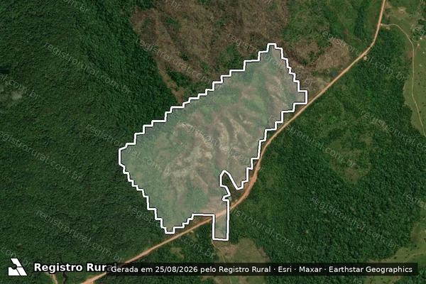 Imagem de satélite de Infração da Flora em Apuí - AM