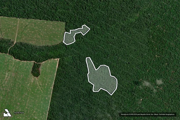 Imagem de satélite de Infração da Flora em Tailândia - PA