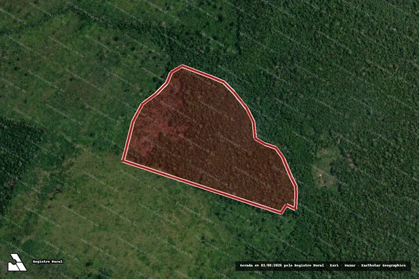 Imagem de satélite de Infração Ambiental em Humaitá - AM