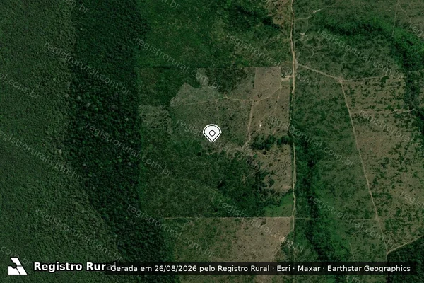 Imagem de satélite — Embargo IBAMA — Infração da Flora — Humaitá/AM