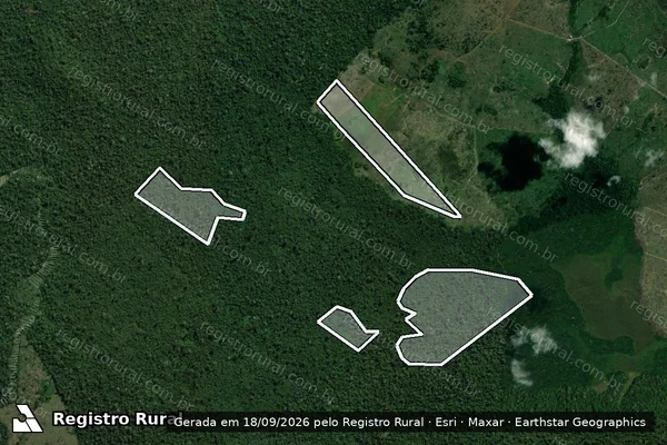 Imagem de satélite — Embargo IBAMA — Infração da Flora - Altamira/PA