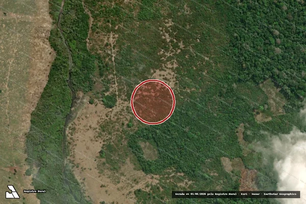 Imagem de satélite de Infração Ambiental em Parintins - AM