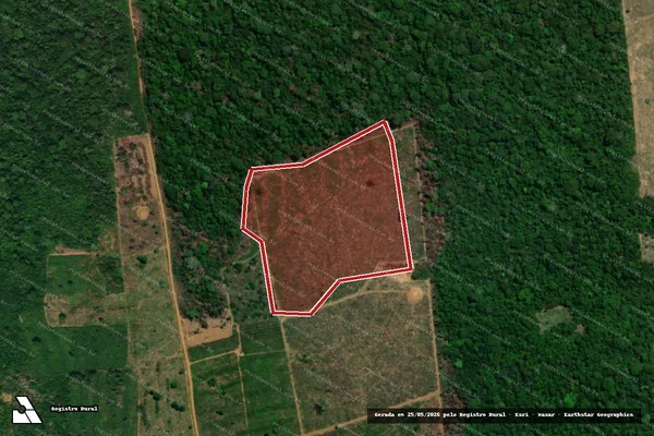 Imagem de satélite de Infração da Flora em Porto Velho - RO