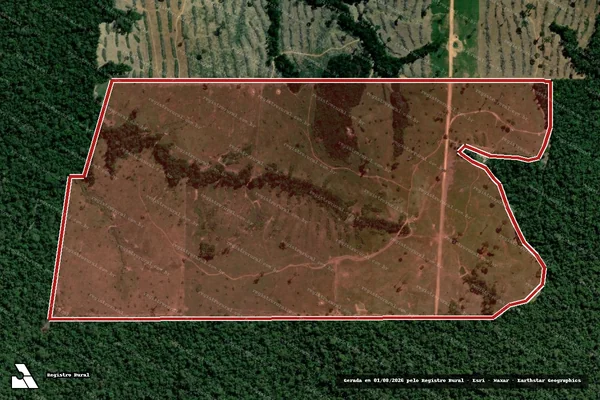 Imagem de satélite de Infração da Flora em Porto Velho - RO