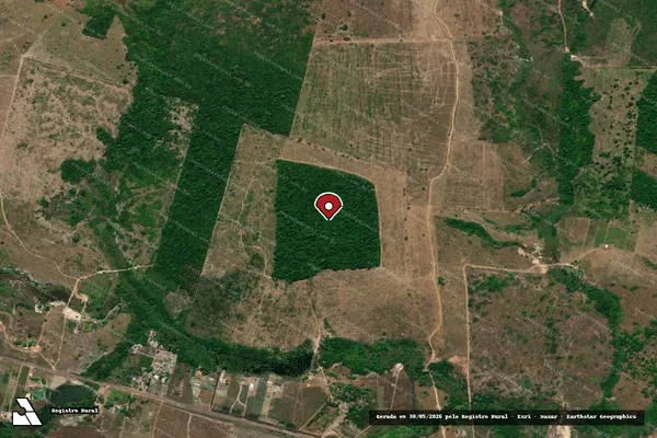 Imagem de satélite — Embargo IBAMA — Infração da Flora — Goianésia do Pará/PA
