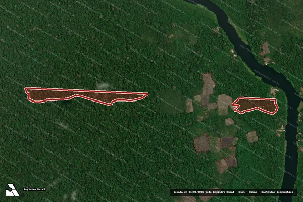 Imagem de satélite — Embargo IBAMA — Infração da Flora - Portel/PA