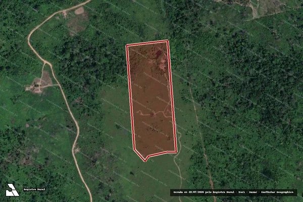 Imagem de satélite de Infração da Flora em Novo Progresso - PA