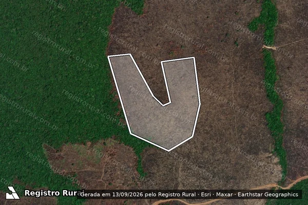 Imagem de satélite — Embargo IBAMA — Infração Ambiental - Altamira/PA