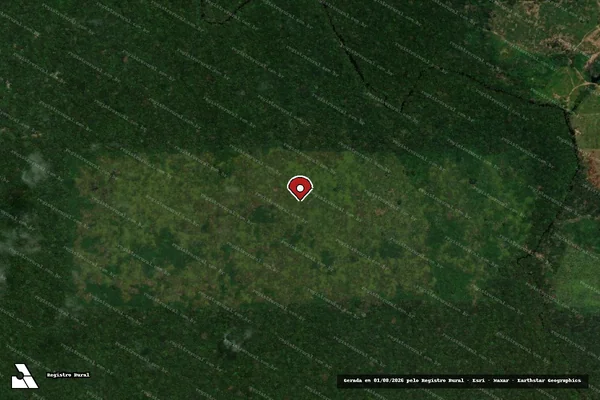 Imagem de satélite de Infração Ambiental em Porto Velho - RO (marcador da localização)