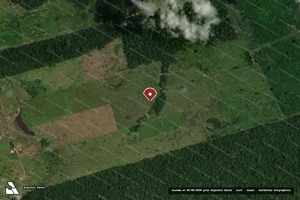 Imagem de satélite de Infração da Flora em Colniza - MT (marcador da localização)
