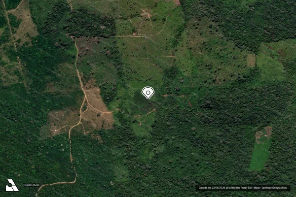 Imagem de satélite de Desmatamento em Trairão - PA (marcador da localização)
