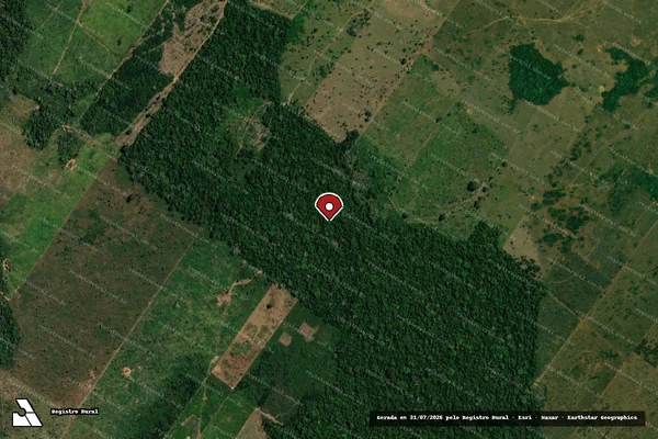 Imagem de satélite de Infração Ambiental em Porto Velho - RO (marcador da localização)