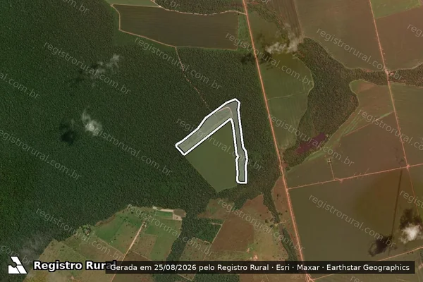 Imagem de satélite de Infração da Flora em São José do Rio Claro - MT