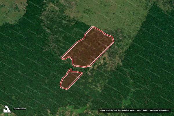 Imagem de satélite de Infração da Flora em Careiro da Várzea - AM