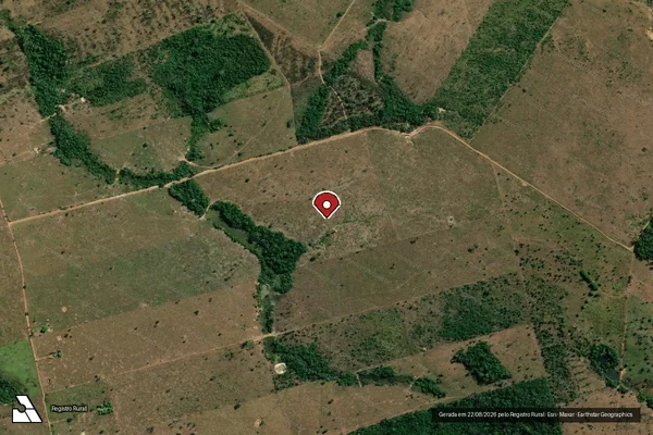 Imagem de satélite de Infração Ambiental em Colniza - MT (marcador da localização)