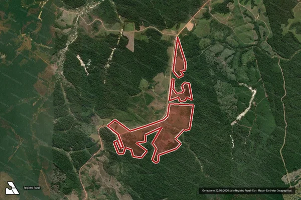 Imagem de satélite de Infração da Flora em Itaituba - PA