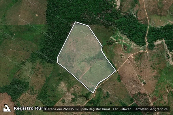Imagem de satélite de Infração da Flora em Colniza - MT