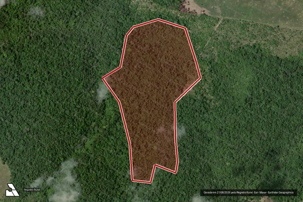 Imagem de satélite de Infração Ambiental em Santa Cruz Cabrália - BA