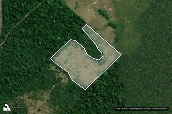 Imagem de satélite de Infração da Flora em Óbidos - PA