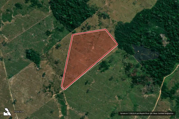 Imagem de satélite de Infração da Flora em Boca do Acre - AM