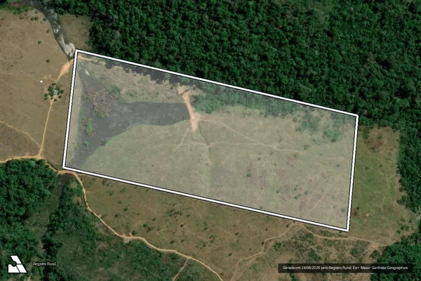 Imagem de satélite de Infração da Flora em Pacajá - PA