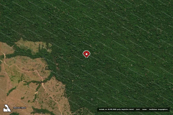 Imagem de satélite de Infração da Flora em Apiacás - MT (marcador da localização)