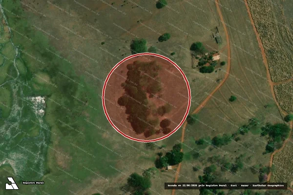 Imagem de satélite de Infração Ambiental em Cardoso - SP