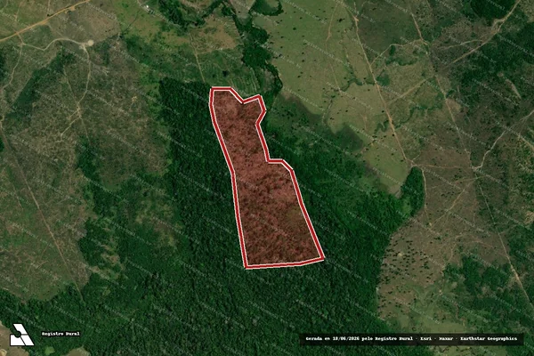 Imagem de satélite de Infração da Flora em Apuí - AM
