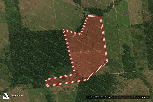 Imagem de satélite de Infração da Flora em Buritis - RO