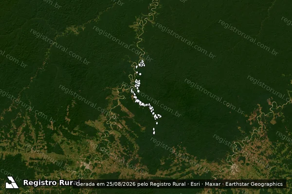 Imagem de satélite de Infração da Flora em Tarauacá - AC