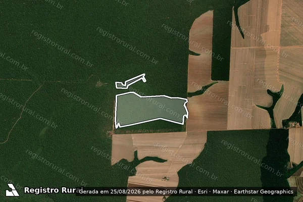 Imagem de satélite de Infração Ambiental em Itanhangá - MT