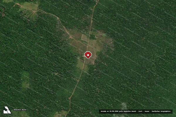 Imagem de satélite de Infração da Flora em Tartarugalzinho - AP (marcador da localização)