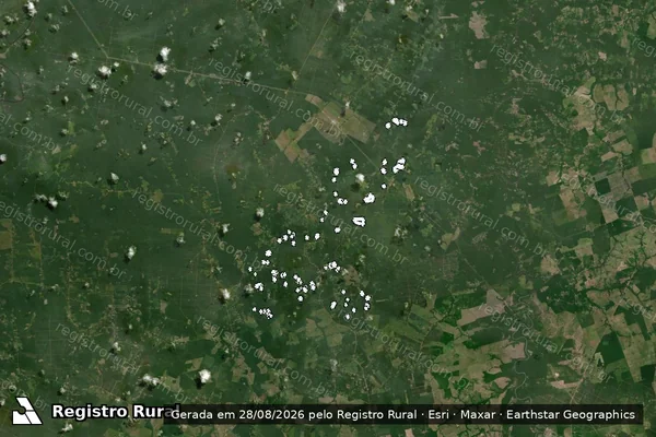 Imagem de satélite de Infração da Flora em Tomé-Açu - PA