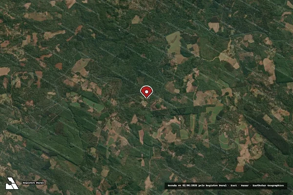 Imagem de satélite de Infração Ambiental em Cruz Machado - PR (marcador da localização)