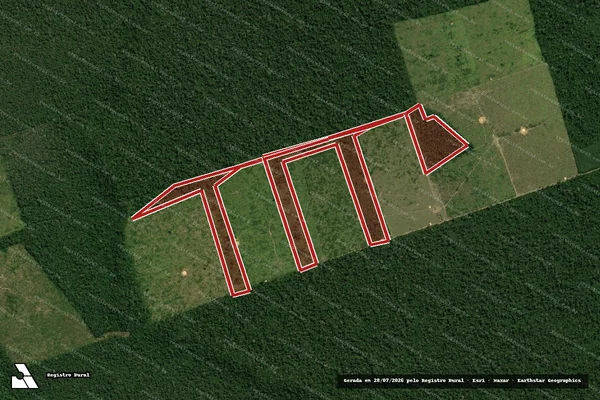 Imagem de satélite — Embargo IBAMA — Infração da Flora — Uruará/PA