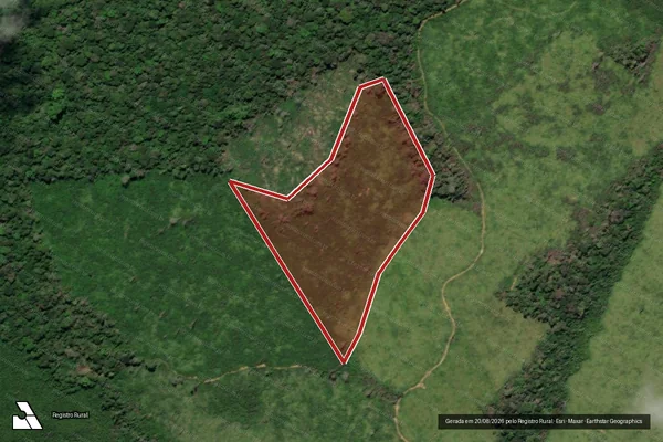 Imagem de satélite de Infração da Flora em Portel - PA