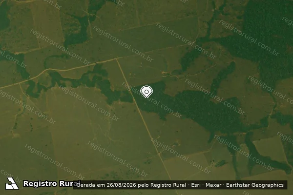 Imagem de satélite — Embargo IBAMA — Infração Ambiental - Buritis/RO