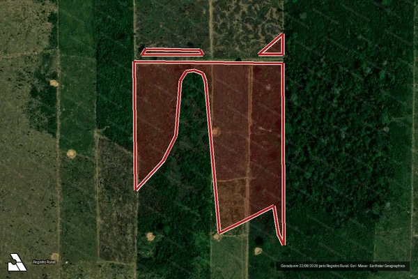Imagem de satélite de Infração da Flora em Porto Velho - RO