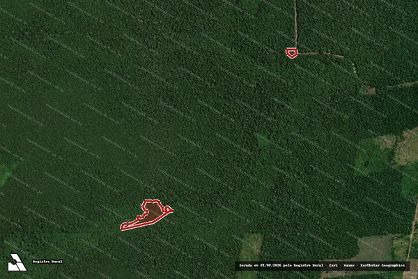 Imagem de satélite de Infração da Flora em Canutama - AM