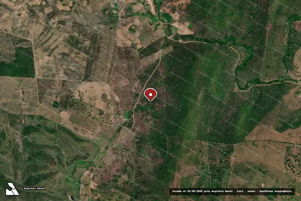 Imagem de satélite de Infração da Flora em Palmeira dos Índios - AL (marcador da localização)