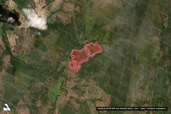 Imagem de satélite de Infração da Flora em Palmeirópolis - TO